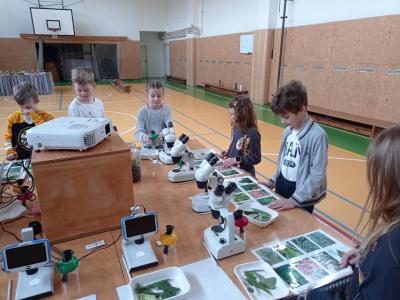 Projekt botanické zahrady