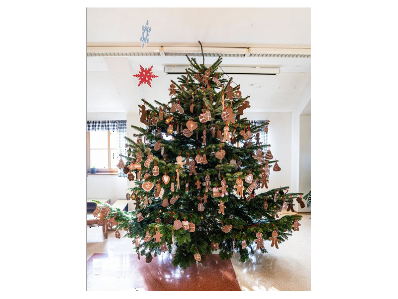 Adventní odpoledne