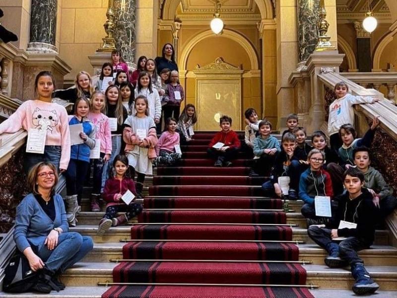 Sovičky, Papoušci a Medvídci