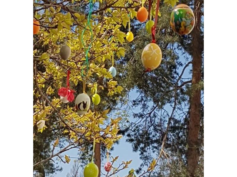 Kraslice na Norbertově i bez žáků