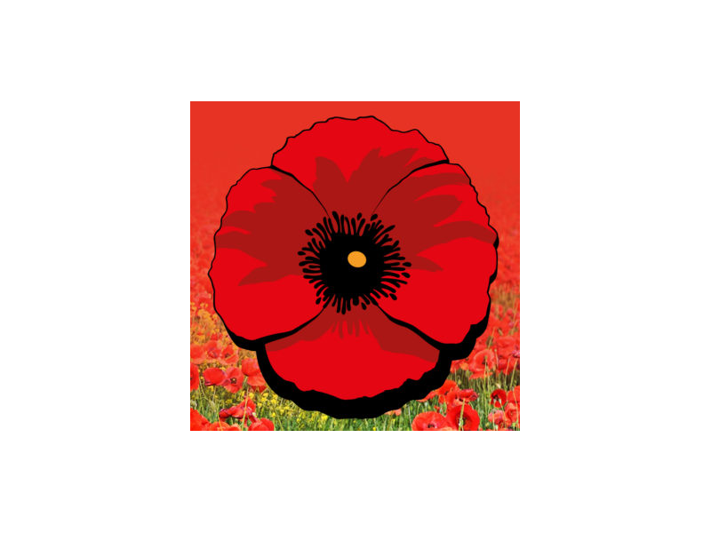 Den válečných veteránů